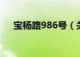 宝杨路986号（关于宝杨路986号介绍）