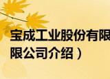 宝成工业股份有限公司（关于宝成工业股份有限公司介绍）