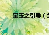 宝玉之引导（关于宝玉之引导介绍）