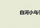 白河小鸟手办（白河小鸟）