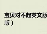 宝贝对不起英文版歌曲原唱（宝贝对不起英文版）