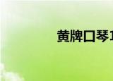 黄牌口琴108（黄牌口琴）