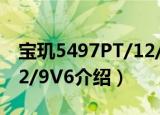 宝玑5497PT/12/9V6（关于宝玑5497PT/12/9V6介绍）