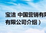 宝洁 中国营销有限公司（关于宝洁 中国营销有限公司介绍）