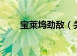 宝莱坞劲敌（关于宝莱坞劲敌介绍）