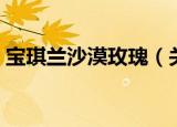 宝琪兰沙漠玫瑰（关于宝琪兰沙漠玫瑰介绍）