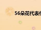 56朵花代表什么意思（56朵花）