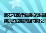 宝石花医疗健康投资控股集团有限公司（关于宝石花医疗健康投资控股集团有限公司介绍）