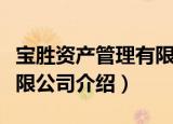 宝胜资产管理有限公司（关于宝胜资产管理有限公司介绍）