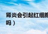 肾炎会引起红细胞高吗?（上皮细胞高是肾炎吗）