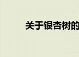 关于银杏树的资料（杏树的资料）