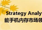  Strategy Analytics任命2020年第一季度智能手机内存市场领导者