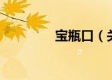 宝瓶口（关于宝瓶口介绍）