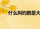 什么叫约数是大还是小（什么叫约数）
