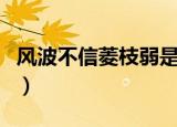 风波不信菱枝弱是什么意思（风波不信菱枝弱）