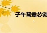 子午鸳鸯芯锁地宫（子午鸳鸯芯）