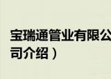 宝瑞通管业有限公司（关于宝瑞通管业有限公司介绍）