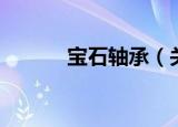 宝石轴承（关于宝石轴承介绍）