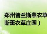 郑州普兰斯薰衣草庄园几月份去好（郑州普兰斯薰衣草庄园）