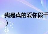 我是真的爱你段千寻dj（我是真的爱你段千寻）