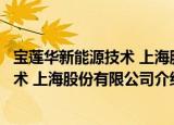 宝莲华新能源技术 上海股份有限公司（关于宝莲华新能源技术 上海股份有限公司介绍）