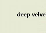deep velvet纪梵希（deep v）