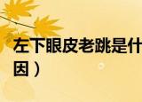 左下眼皮老跳是什么原因（眼皮老跳是什么原因）