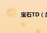 宝石TD（关于宝石TD介绍）
