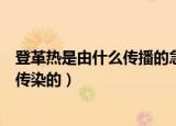 登革热是由什么传播的急性传染病（登革热病是由哪种动物传染的）