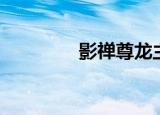 影禅尊龙主页（尊龙弄影）