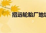 招远轮胎厂地址电话（招远轮胎厂）