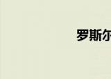 罗斯尔（罗斯erp）