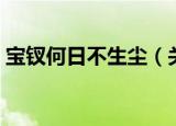 宝钗何日不生尘（关于宝钗何日不生尘介绍）