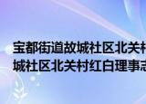宝都街道故城社区北关村红白理事志愿队（关于宝都街道故城社区北关村红白理事志愿队介绍）