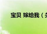 宝贝 嫁给我（关于宝贝 嫁给我介绍）