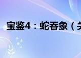 宝鉴4：蛇吞象（关于宝鉴4：蛇吞象介绍）