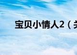 宝贝小情人2（关于宝贝小情人2介绍）