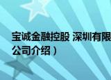 宝诚金融控股 深圳有限公司（关于宝诚金融控股 深圳有限公司介绍）