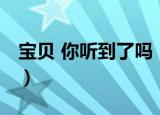 宝贝 你听到了吗（关于宝贝 你听到了吗介绍）