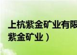 上杭紫金矿业有限公司是世界500强吗（上杭紫金矿业）