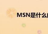 MSN是什么的缩写（msn全称）