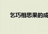乞巧相思果的成熟时间（乞巧相思果）