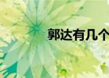 郭达有几个孩（郭达的儿子）
