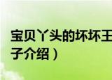 宝贝丫头的坏坏王子（关于宝贝丫头的坏坏王子介绍）