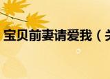 宝贝前妻请爱我（关于宝贝前妻请爱我介绍）