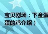 宝贝剧场：下金蛋的鸡（关于宝贝剧场：下金蛋的鸡介绍）