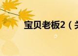 宝贝老板2（关于宝贝老板2介绍）