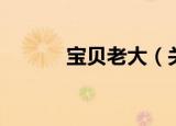 宝贝老大（关于宝贝老大介绍）