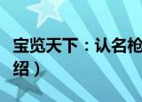 宝览天下：认名枪（关于宝览天下：认名枪介绍）