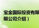 宝金国际投资有限公司（关于宝金国际投资有限公司介绍）